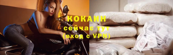 ПСИЛОЦИБИНОВЫЕ ГРИБЫ Ельня