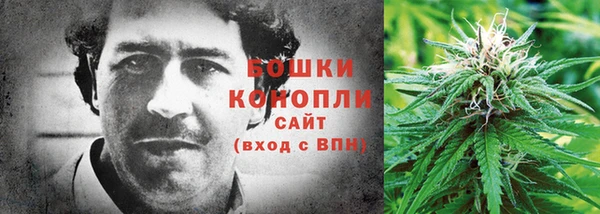 амф Заволжье