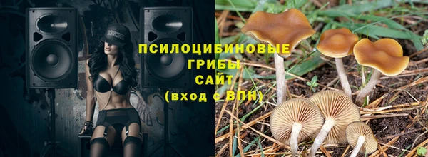 амф Заволжье