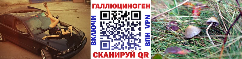 Псилоцибиновые грибы MAGIC MUSHROOMS  Славянск-на-Кубани 