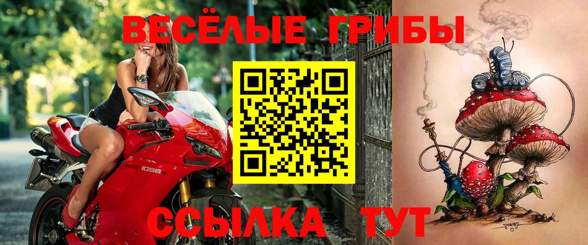 Галлюциногенные грибы Psilocybe  Вход с VPN  Славянск-на-Кубани 